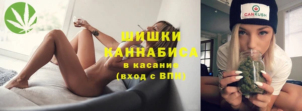 таблы Бородино