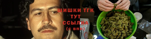 таблы Бородино