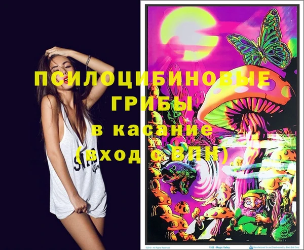 трава Бронницы