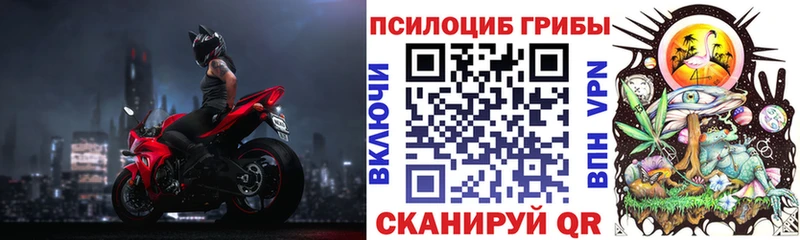 Галлюциногенные грибы Psilocybine cubensis  где купить наркоту  ОМГ ОМГ ТОР  Казань 